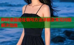 哔咔漫画地址填写方法详解及常见问题解决指南
