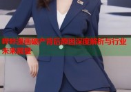 哔咔漫画破产背后原因深度解析与行业未来展望