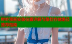 哔咔漫画安装位置详解与最佳存储路径推荐指南