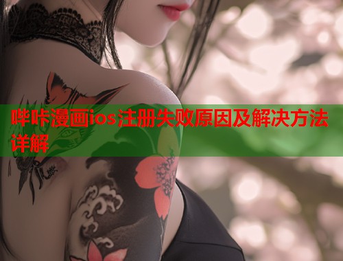 哔咔漫画ios注册失败原因及解决方法详解  第1张