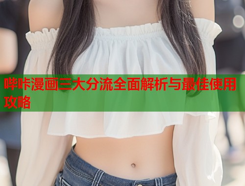 哔咔漫画三大分流全面解析与最佳使用攻略  第1张