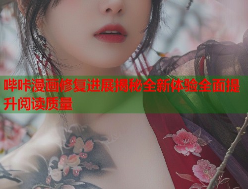 哔咔漫画修复进展揭秘全新体验全面提升阅读质量  第2张