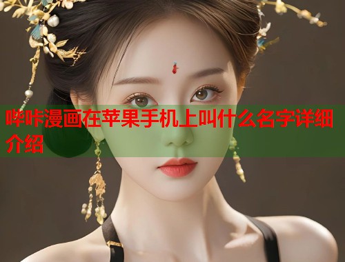 哔咔漫画在苹果手机上叫什么名字详细介绍  第1张